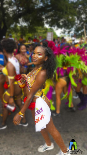 JA Carnival